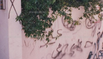 صور تبين مدى طائفية والأخلاق الهابطة للنظام الخليفي ومرتزقته خلال الانتفاضة الدستورية في البحرين 1994-1999